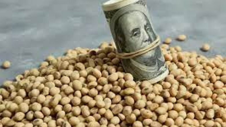 💸 El dólar soja generará $ 300.000 millones más de deuda para poder volver a endeudarse en dolares