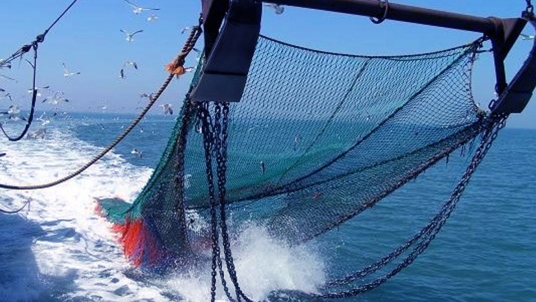 🪝 El pato de la boda. Las redes de pesca de arrastre