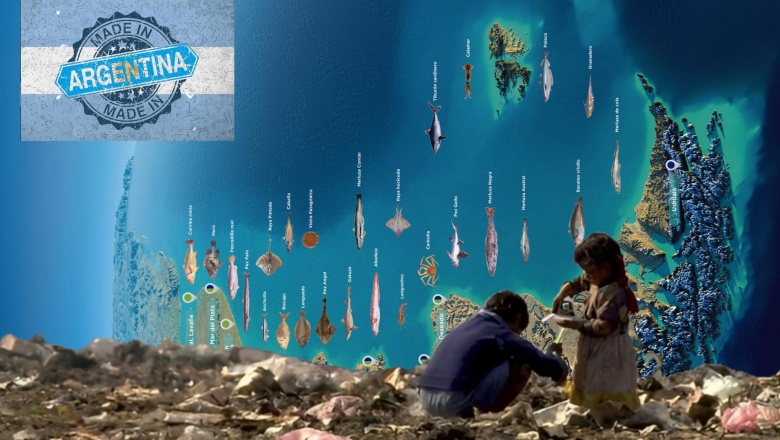 🎣 Pesca ilegal y seis millones de niños pobres en argentina
