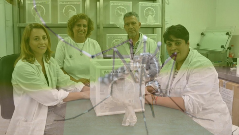 🦟 La ciencia argentina en pie de guerra contra el dengue