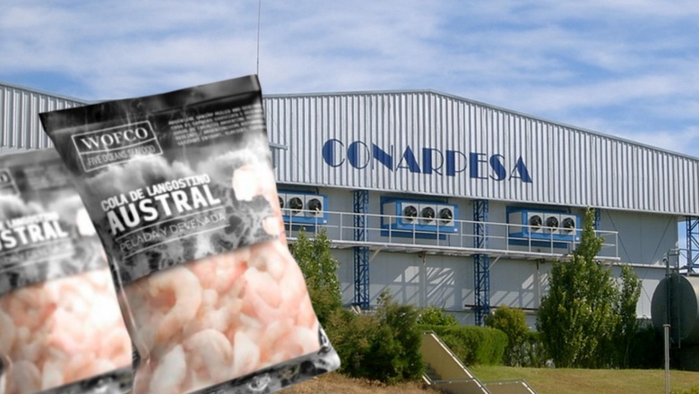 🏴☠️ La empresa CONARPESA, a través de Wofco, pesca ilegalmente en Malvinas