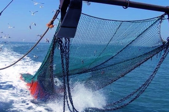 🏴‍☠️ Pesca extractiva e incompetente