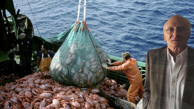 🎣 Retenciones a la pesca o reorganización del Estado