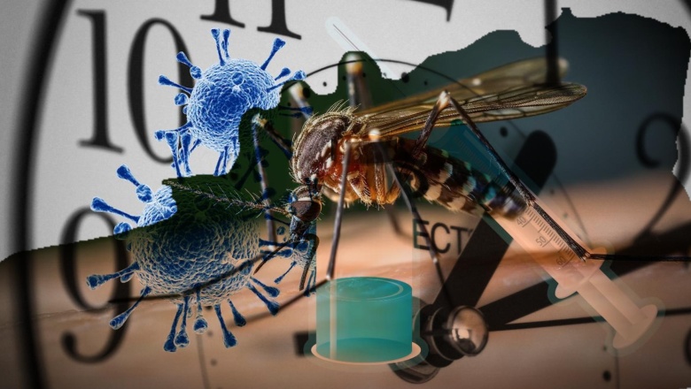 ⚕️ Salud pública: negacionistas versus sanitaristas