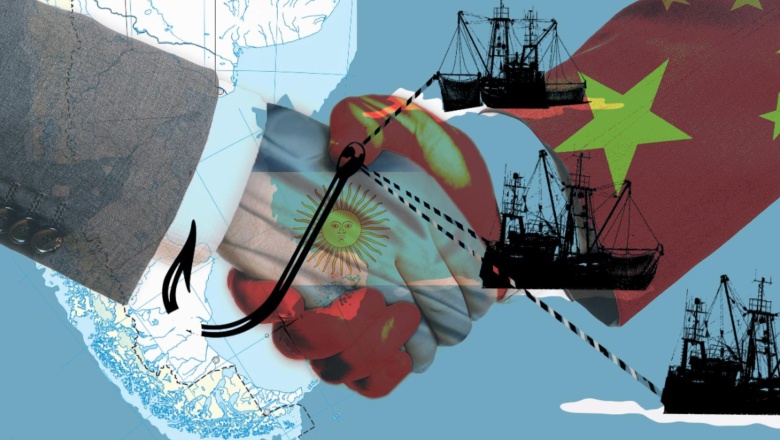 La pesca ilegal china y la idiotez no tienen fronteras