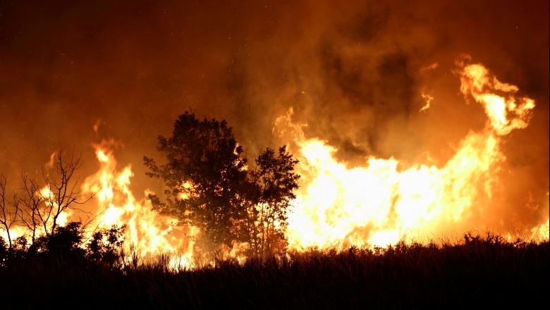 Manejo del fuego: lobby, subejecución y una nueva herida abierta en la Patagonia