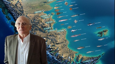 🏴☠️ La entrega del Mar Argentino a buques extranjeros significa: quiebre de la empresa nacional, evasión y pérdida de empleos