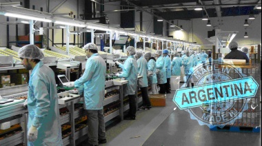 🧠 Pensamiento nacional: industria argentina y desarrollo 🦾