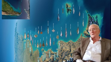 🎣 La ausente política pesquera argentina