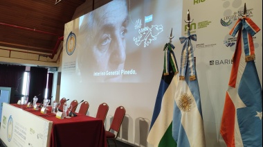 🏴☠️ Usurpación de las Islas Malvinas y saqueo sistemático del Reino Unido en nuestro territorio