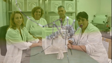🦟 La ciencia argentina en pie de guerra contra el dengue
