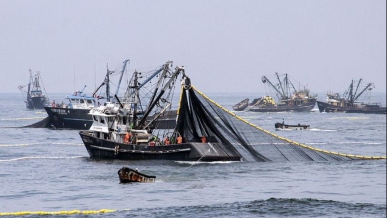 🎣 El régimen de acceso a la pesca en el atlántico sur