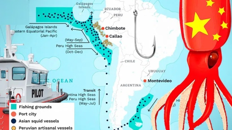 🎣 El negocio chino de extranjerizar el Mar Argentino