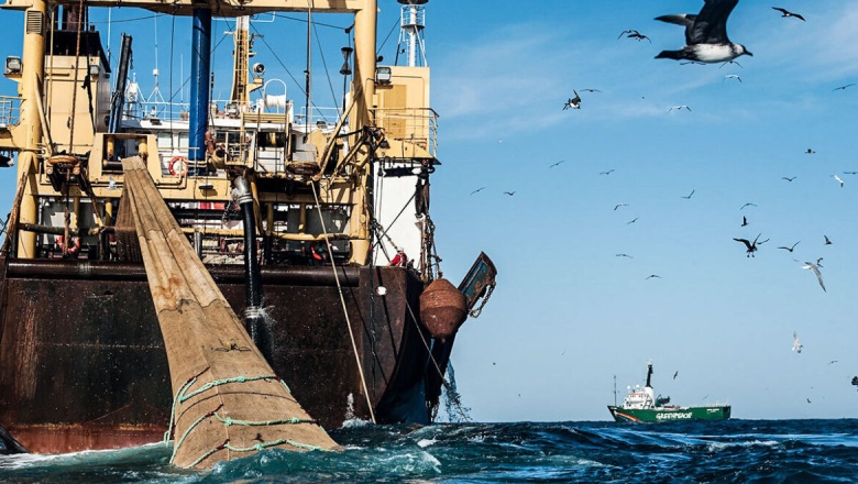 El gobierno nacional ignora la pesca ilegal impidiendo el desarrollo de las provincias