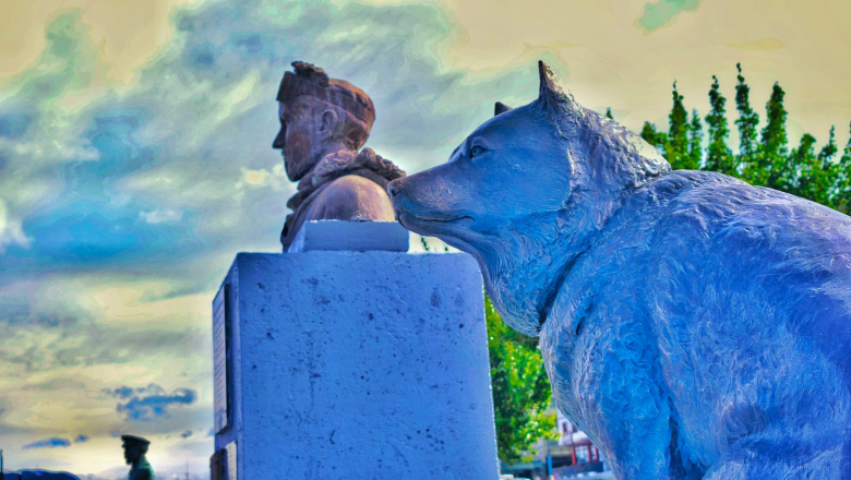 "Poncho", el heroico Perro Polar Argentino, tendrá su escultura en el Paseo de exploradores Antárticos de Ushuaia
