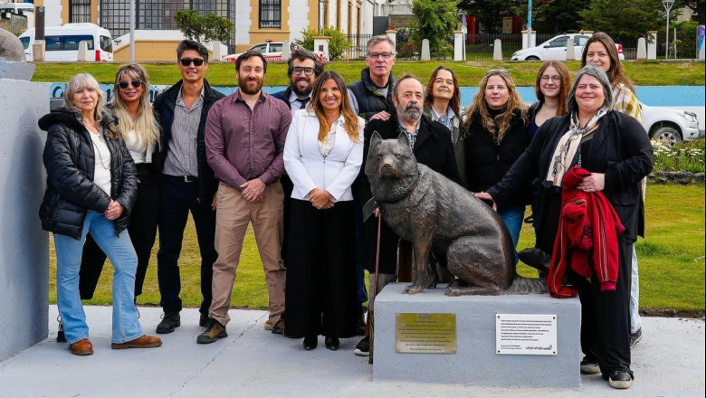 🇦🇷🐾 Poncho, un héroe de cuatro patas que ya es parte el paisaje y de la memoria viva de Ushuaia