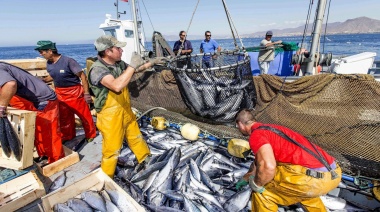 La generación de empleo en la industria pesquera durante el gobierno de Alberto Fernández