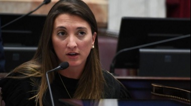 "Hoy pensamos una ley nacional que contemple las diversas juventudes"