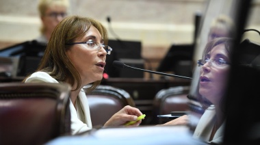 “Más que Ficha Limpia, es una mancha para la democracia”, afirmó la senadora Cristina López