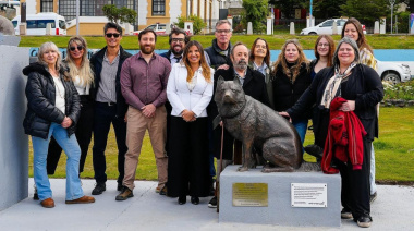 🇦🇷🐾 Poncho, un héroe de cuatro patas que ya es parte el paisaje y de la memoria viva de Ushuaia