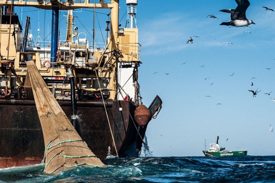 El gobierno nacional ignora la pesca ilegal impidiendo el desarrollo de las provincias