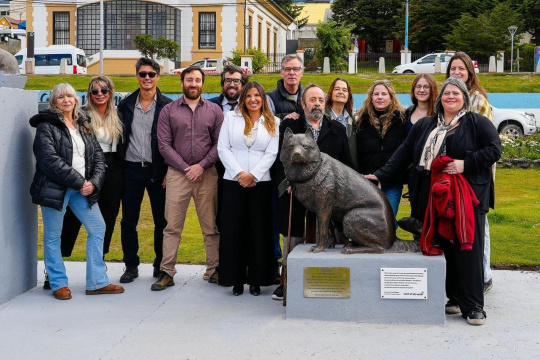 🇦🇷🐾 Poncho, un héroe de cuatro patas que ya es parte el paisaje y de la memoria viva de Ushuaia